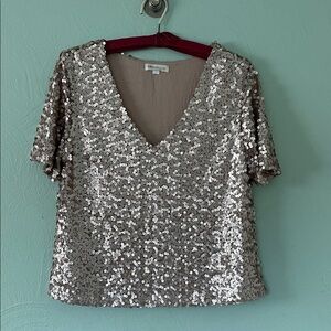 Socialite Silver Sequin V-Neck Blouse